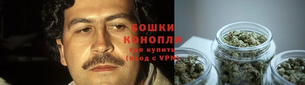 гидропоника Белоозёрский