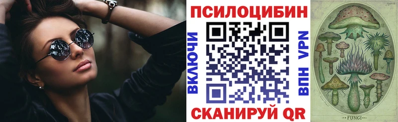 Псилоцибиновые грибы Cubensis  Шагонар 